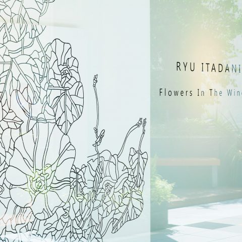 Flowers In the Window